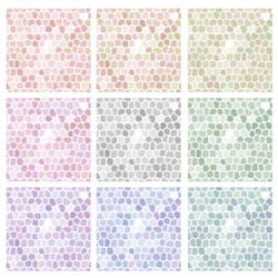 color.jpg